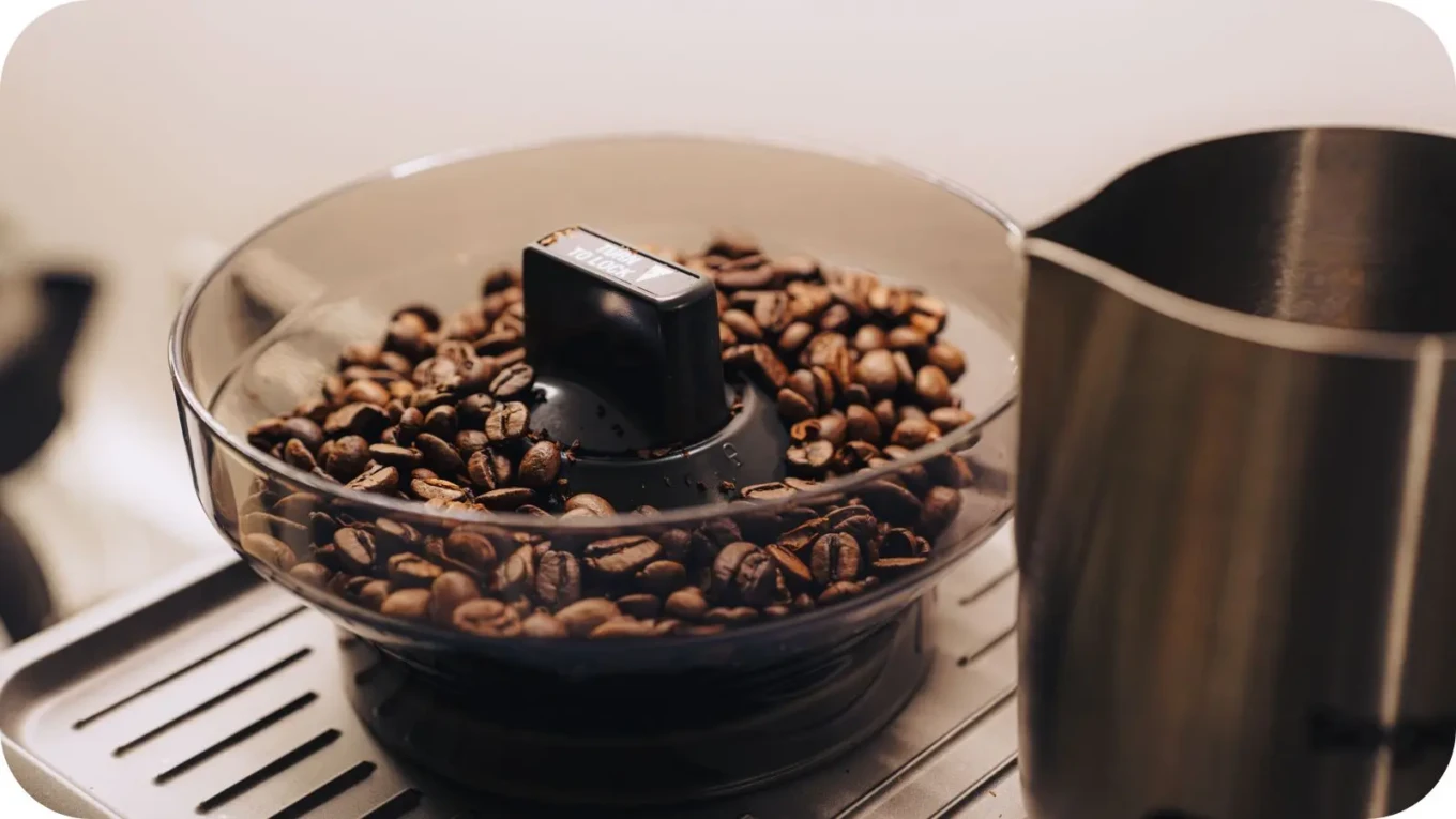 Moedores de café
